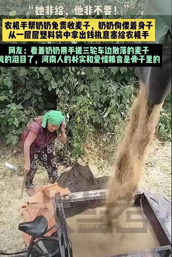 “70多岁老太太，硬生生拦在收割机前，不让师傅走，就为了一句话——这钱你必须收下