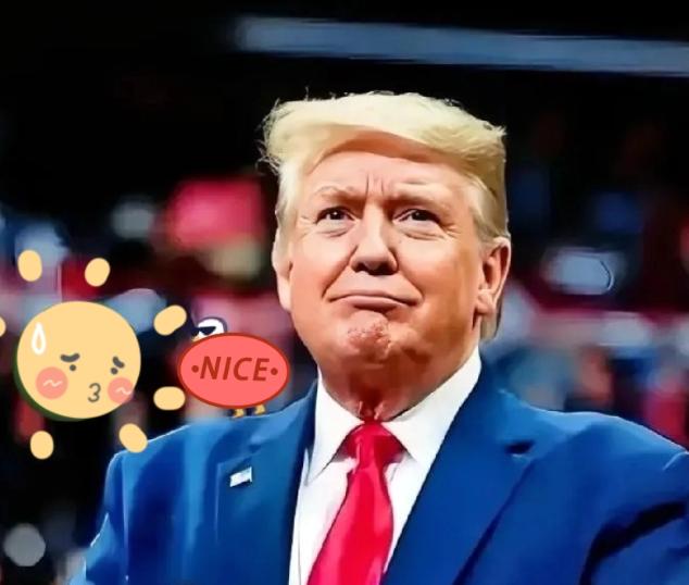 2026年元旦刚过，联合国秘书处突然收到一笔二十亿美元的转账，付款方是那家欠了两