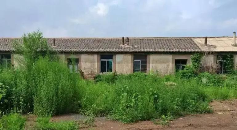 想回家又怕大叔孤单过年，小五在田里拔草掉眼泪，这情景瞬间刷爆了热搜。
很多网友心