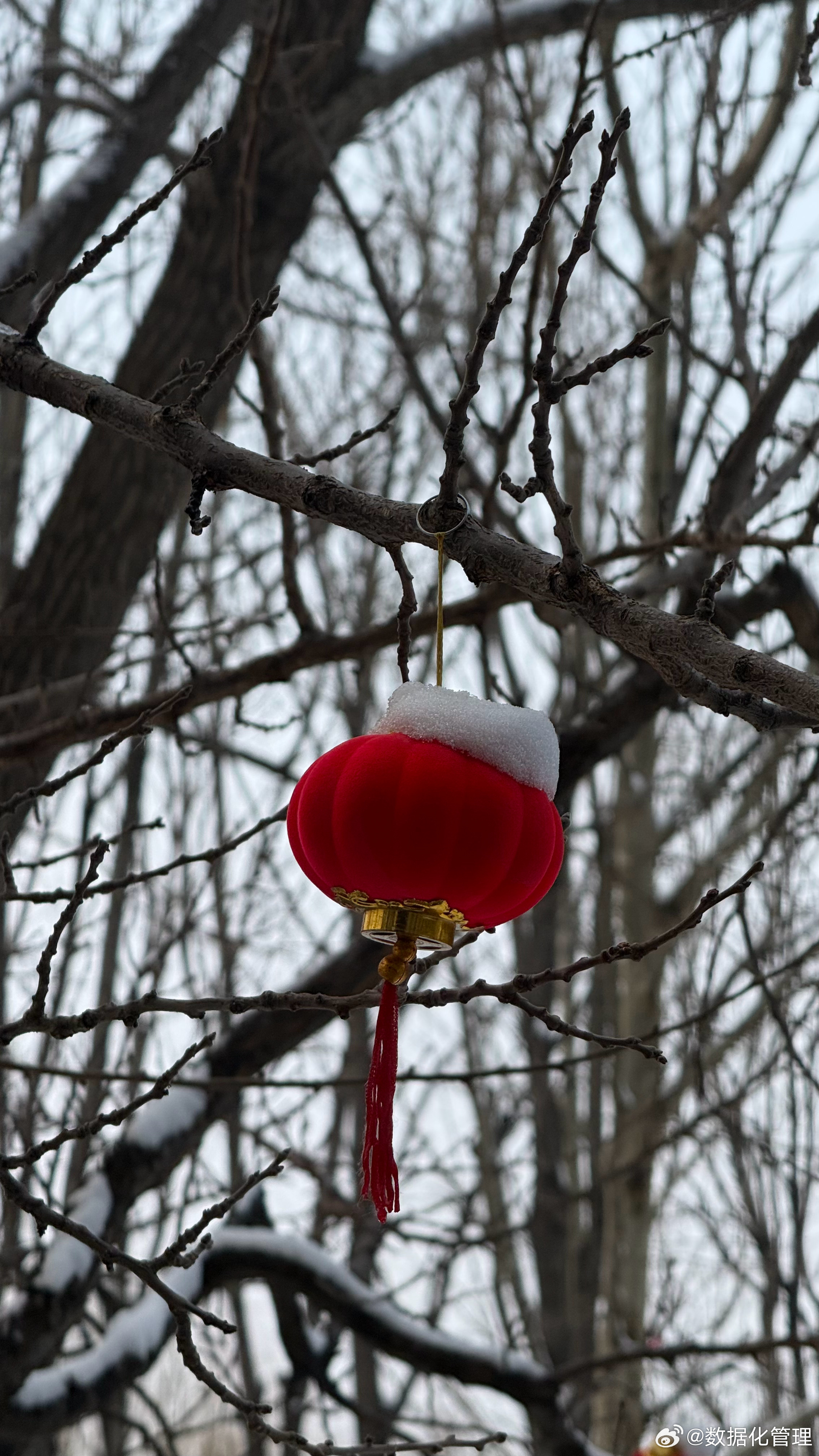 这才是真正的红太阳……记录北京今冬最后一场雪 