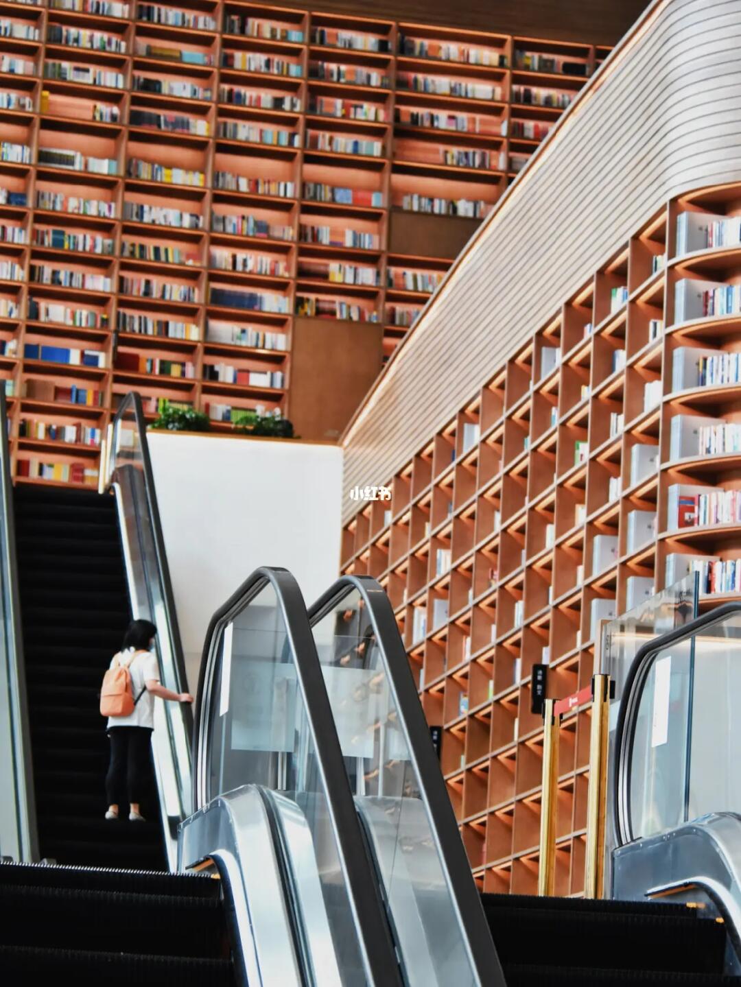 成都最美图书馆开馆 | 仰望4层楼高的书山