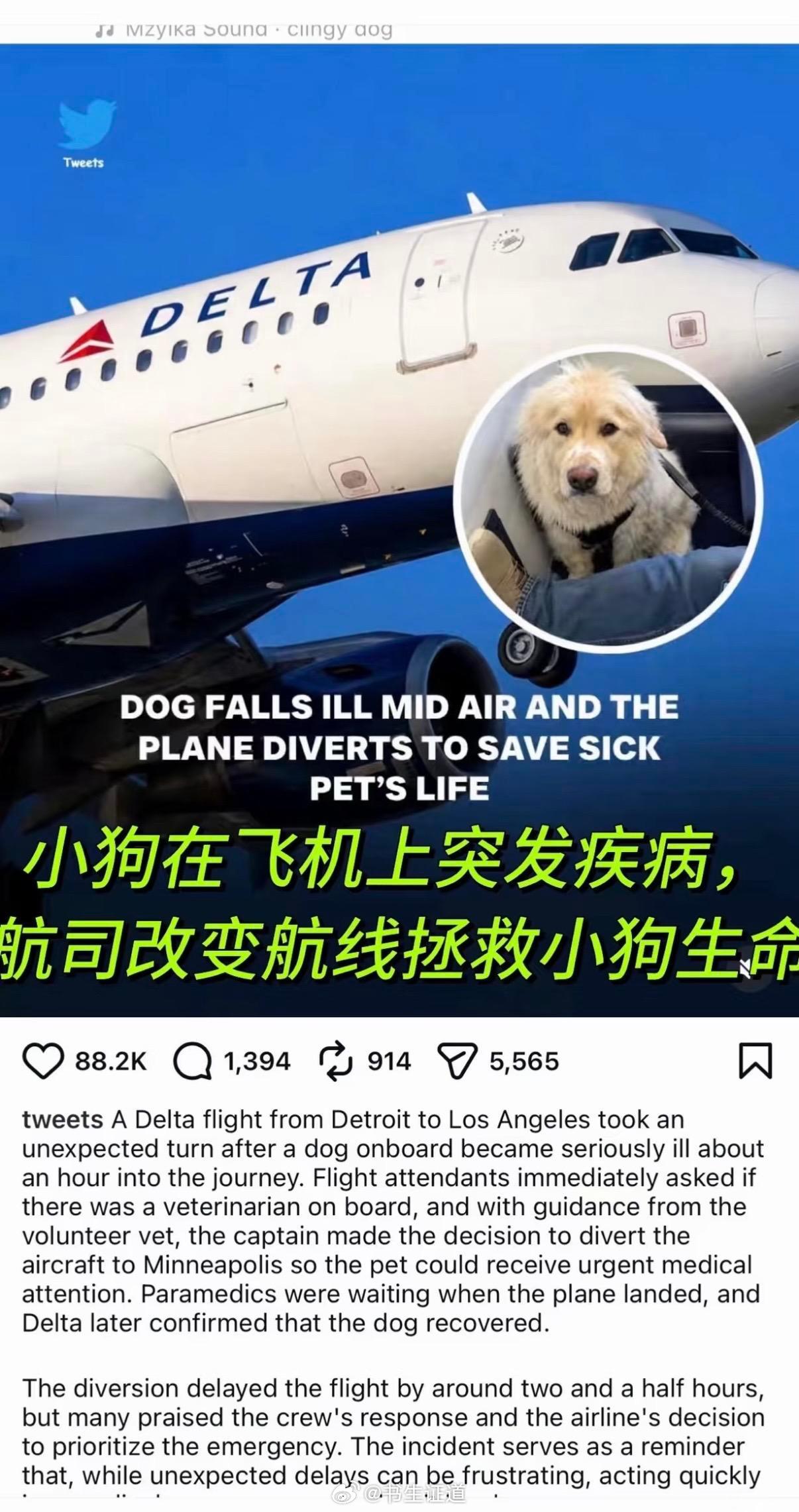 保护动物人人有责 