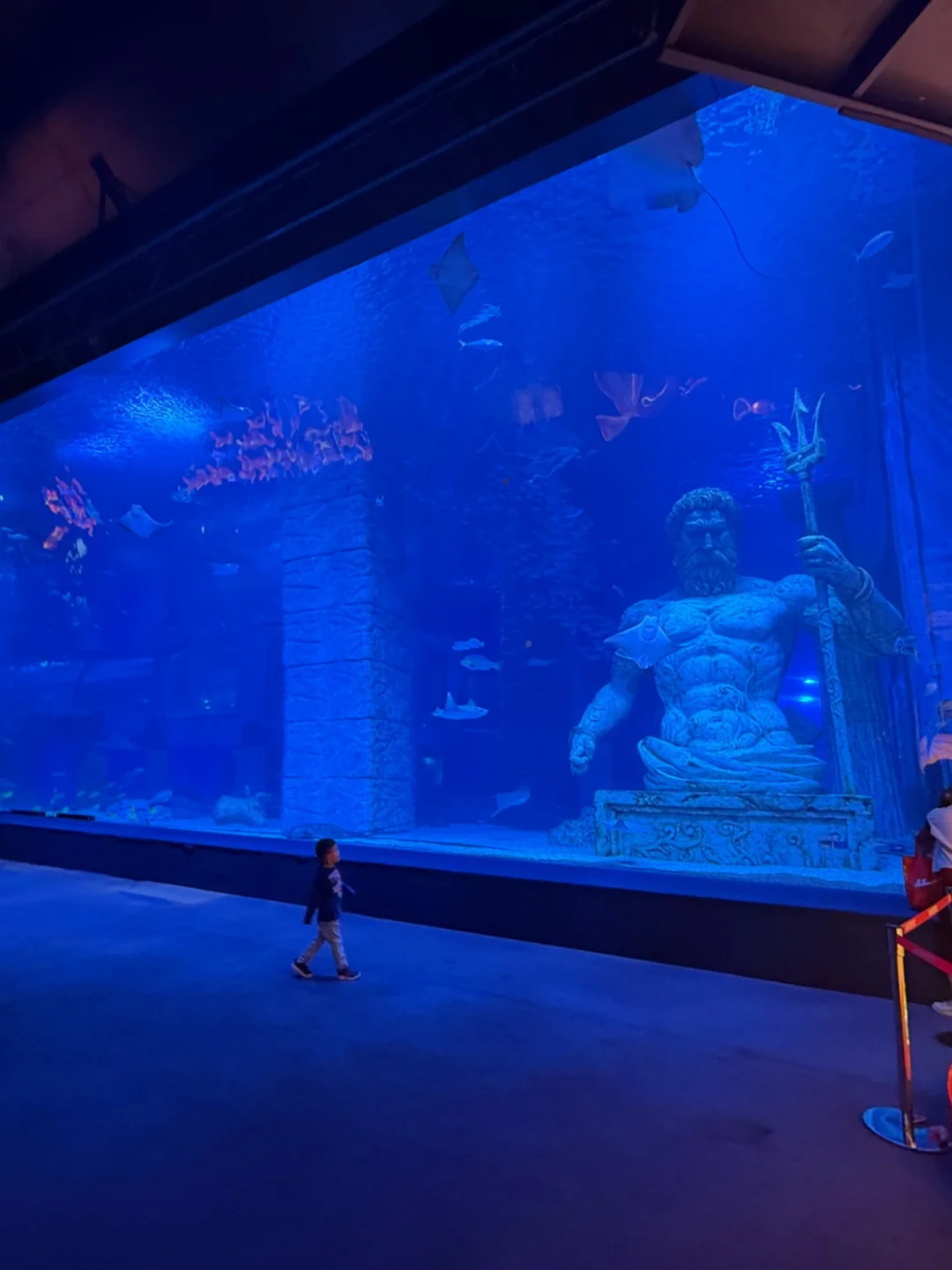 个人觉得这是正佳海洋世界最大的看点 美人鱼表演！[彩虹R]周末和平时都...