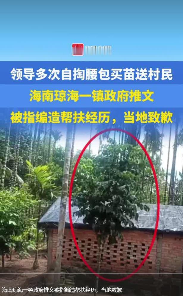 9 月 4 日，据央广网报道，海南省琼海市阳江镇一篇发布在政府公众号上的矛盾调解