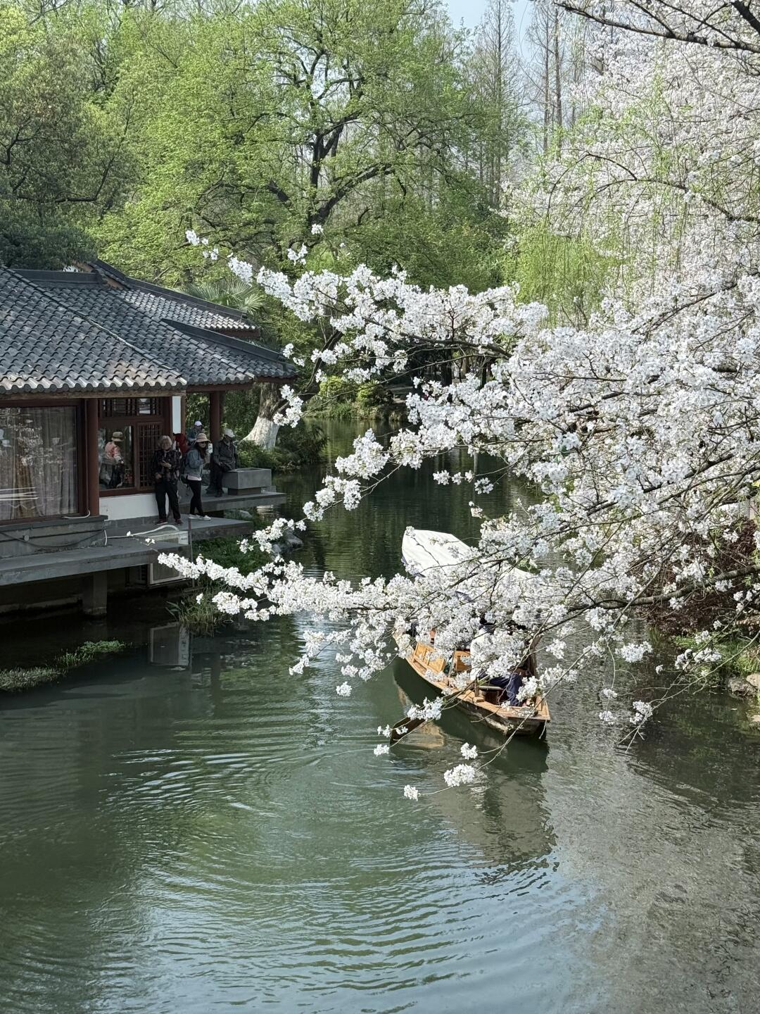 春天来杭州，这份赏花地图和指南请查收