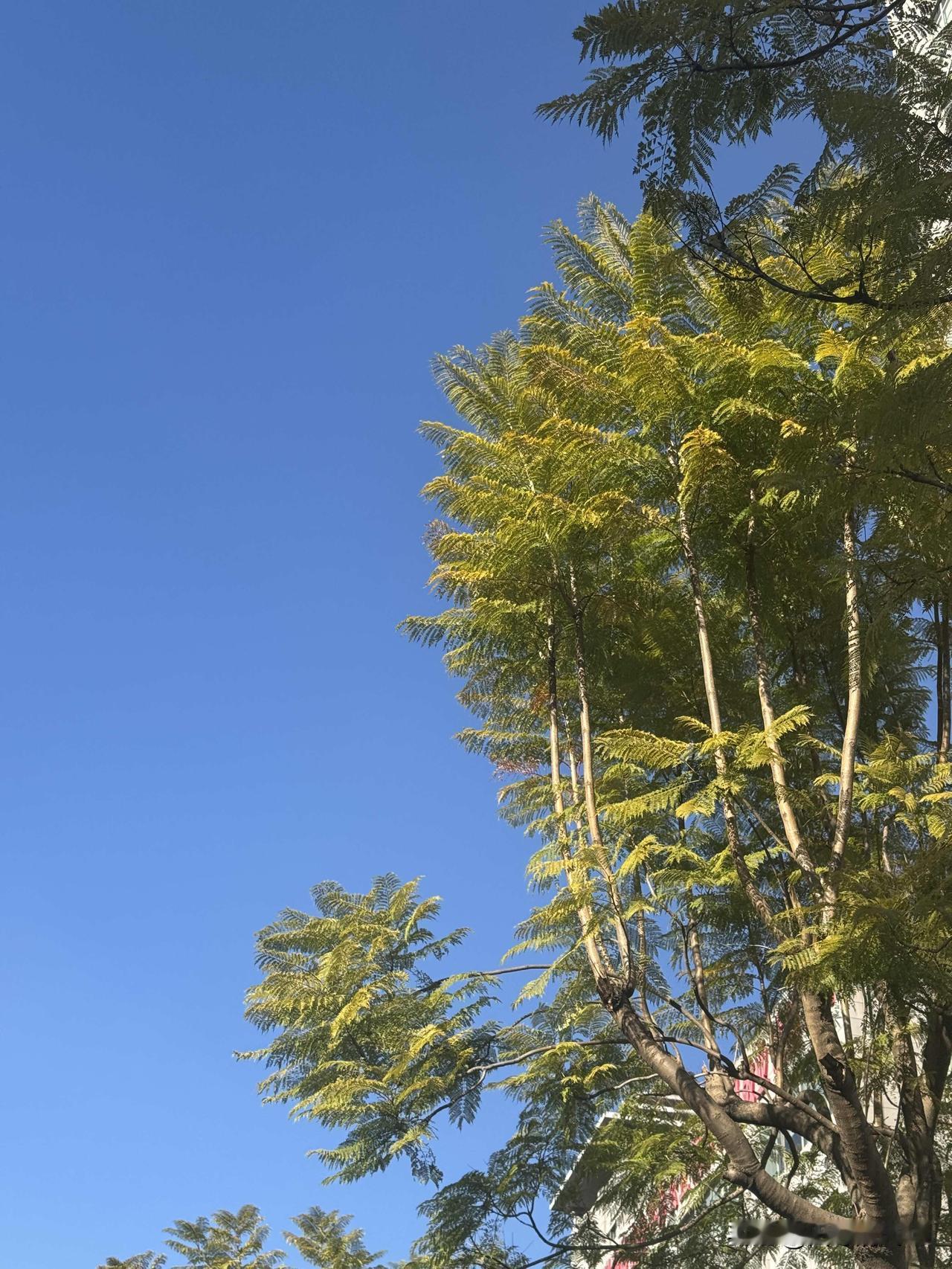 福贡县，下辖1个镇、6个乡，共9个社区居委会、60个村委会，总人口11万人，在云