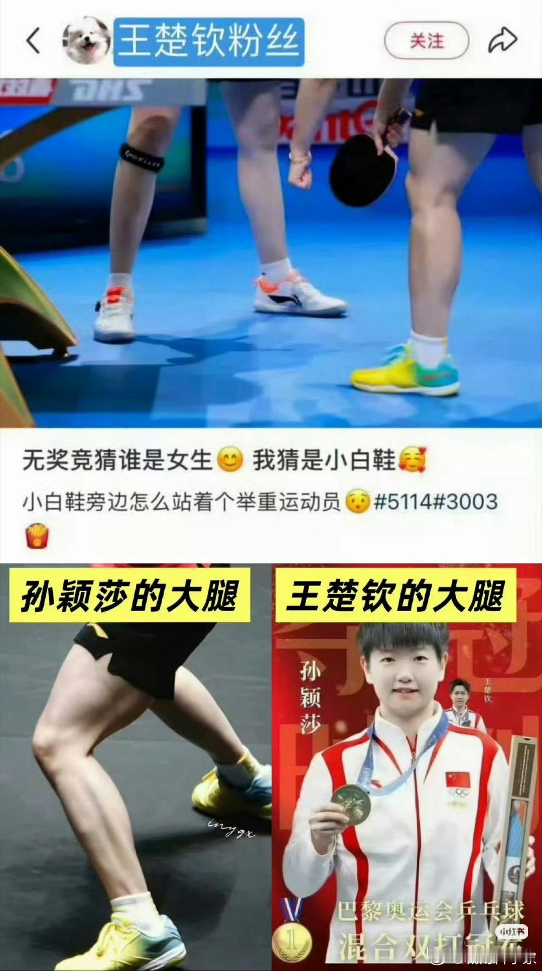 王楚钦混双引争议 莎头组合粉丝内讧了？大家都说整治饭圈，其实饭圈就是商业利益，尤
