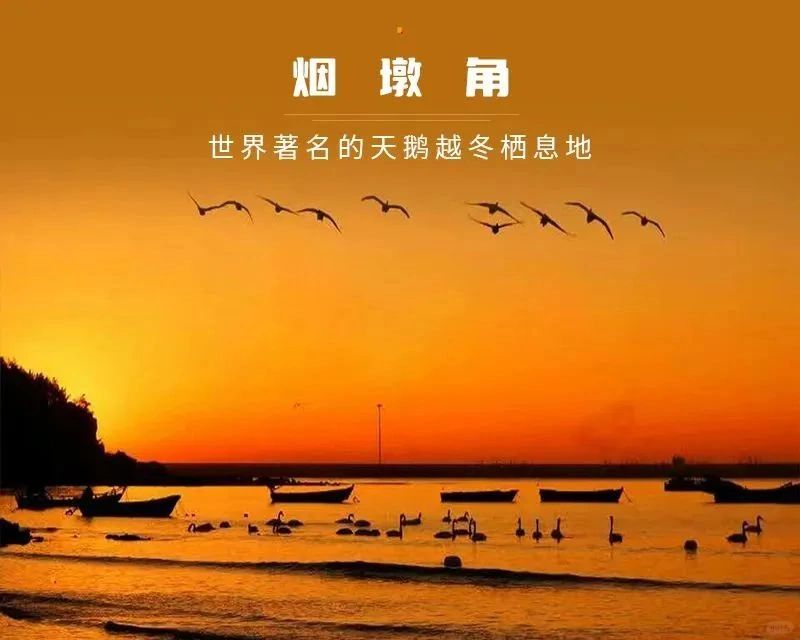 看见不一样的海滨风光！山东荣城烟墩角