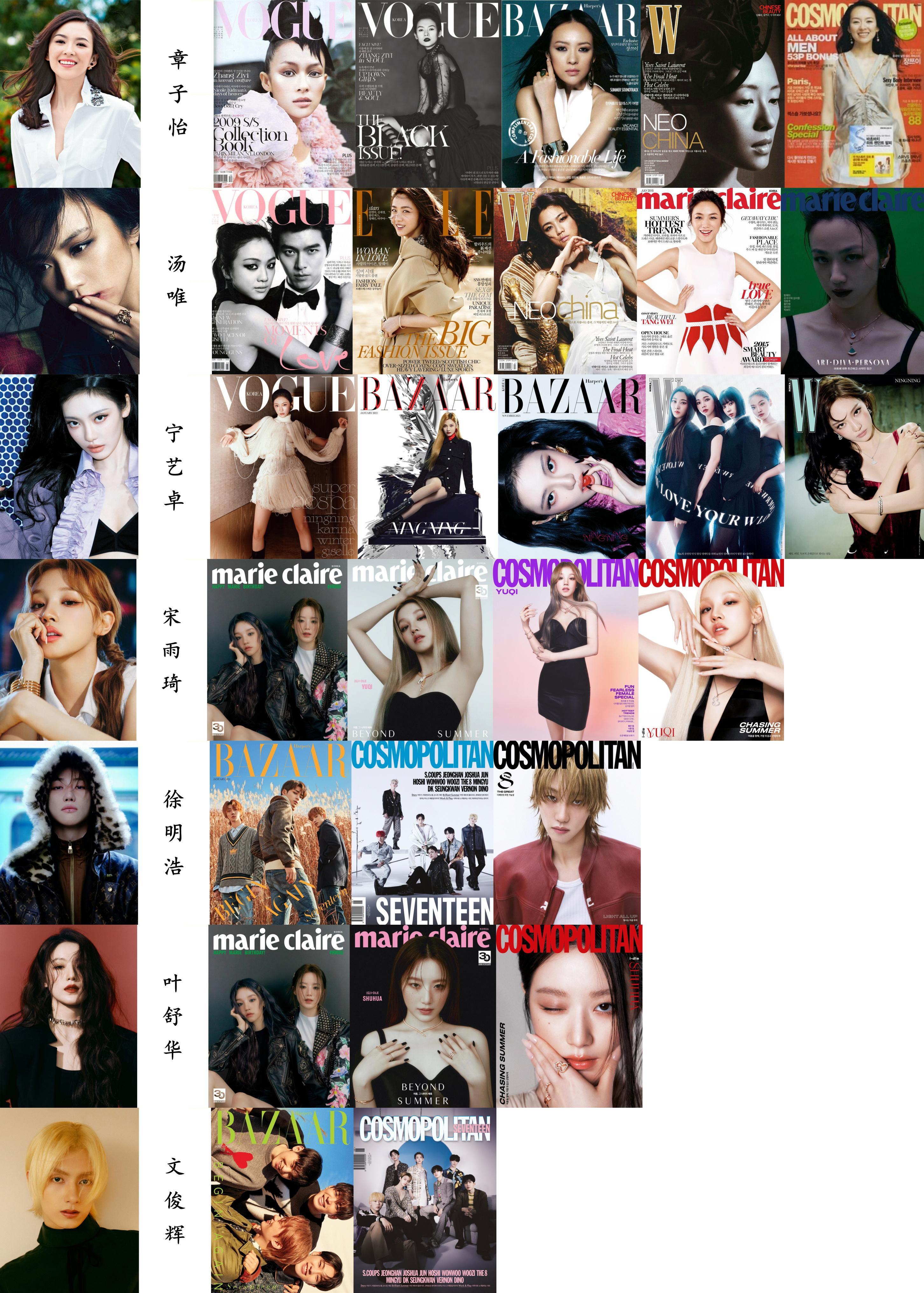 华语星光  ——  韩国六大主流女刊刊数榜单一览  【章子怡】2008.12 ：