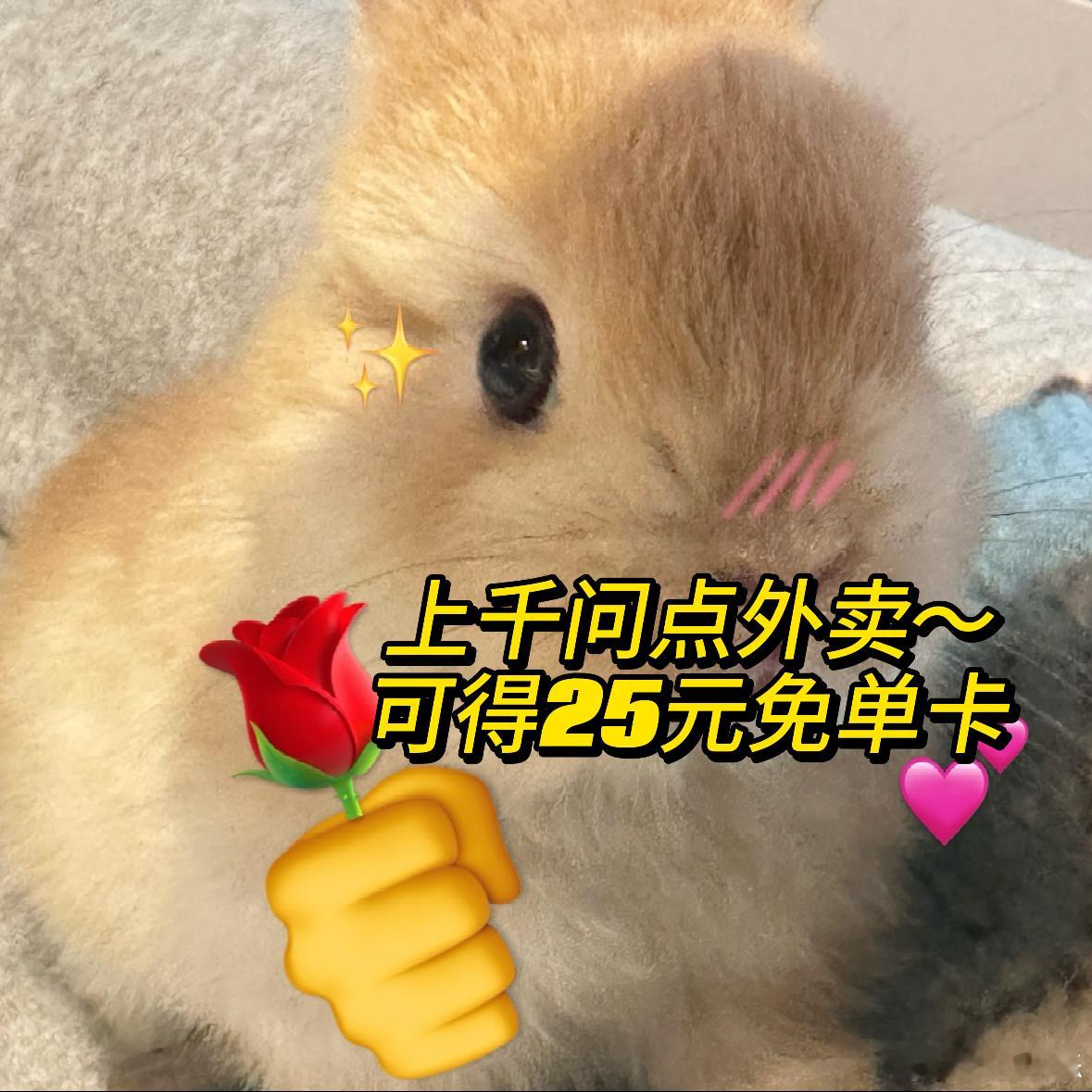 第一批千问万元生活卡锦鲤已出现 谁懂啊，看到别人中奖比自己亏钱还难受。虽然已经拿