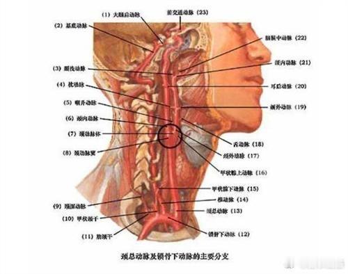 【诊间奇闻：情侣间，这样亲热，有危险！】门诊，进来一对手拉手的青年男女，年龄相仿