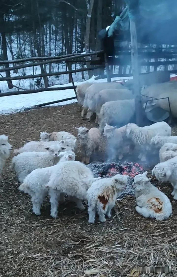 什么味这么香，看起来很好吃的样子