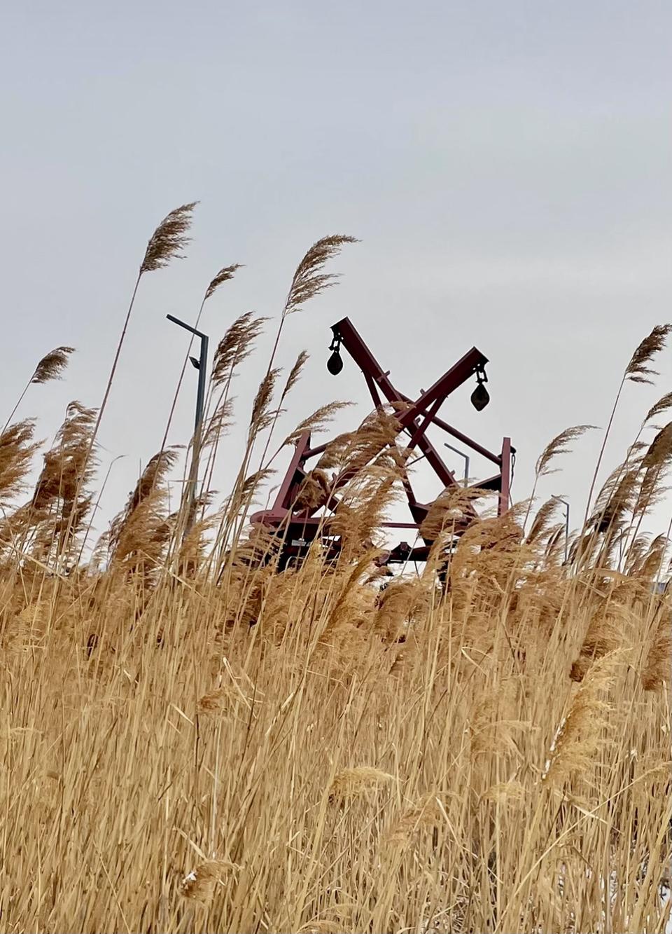～说话“恐怖派”～

一些博主开口就定点大轰炸，完了完了，后背发凉，头皮发麻，老