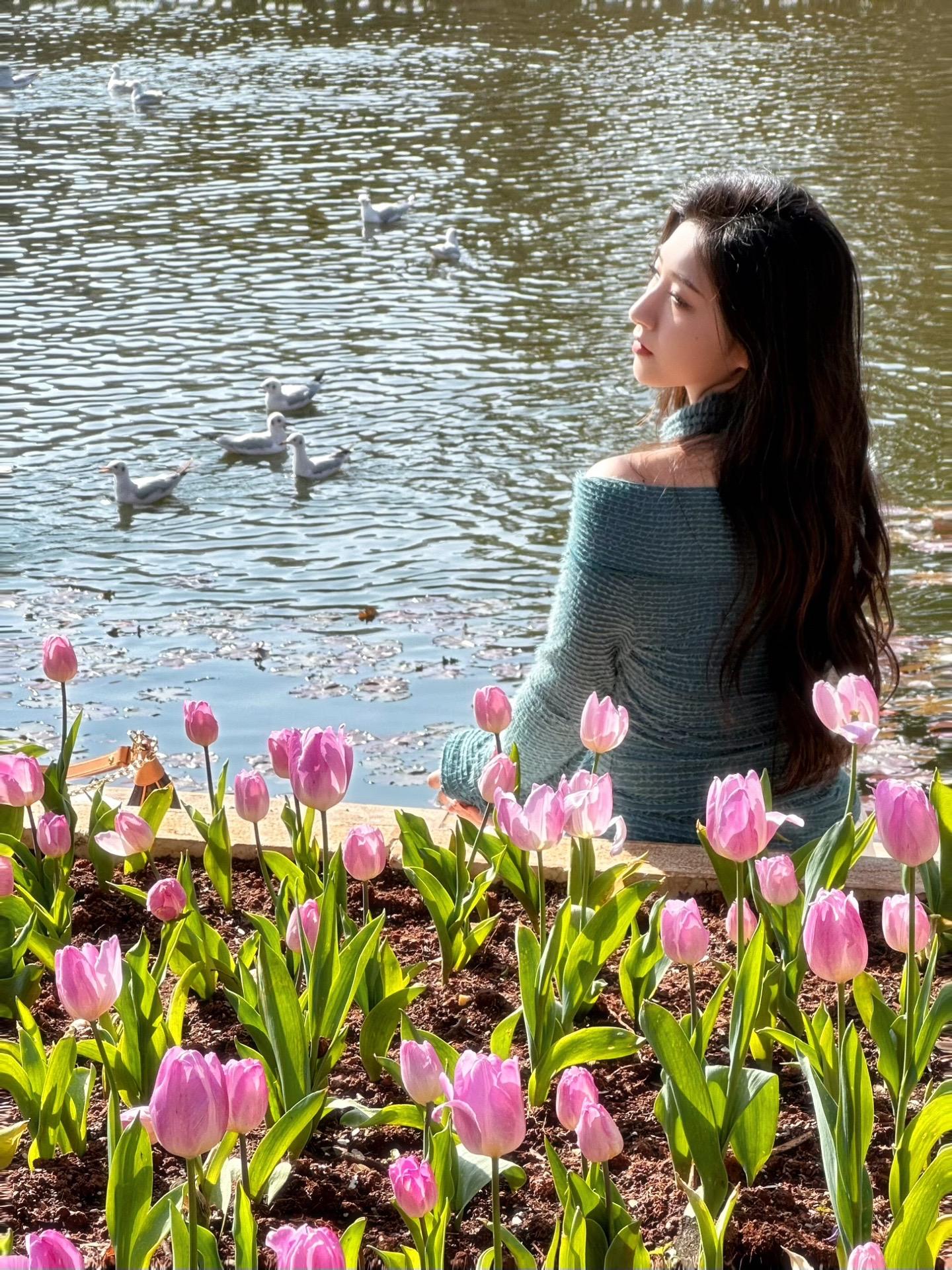 𝓕𝓁𝓸𝓌𝓮𝓇🌷。郁金香永远浪漫