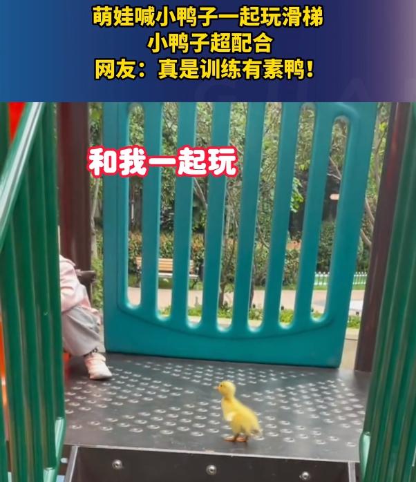一名宝妈准备带着宝宝出门到小区的儿童娱乐区玩，而宝宝就带着自己养的小鸭子和妈妈出
