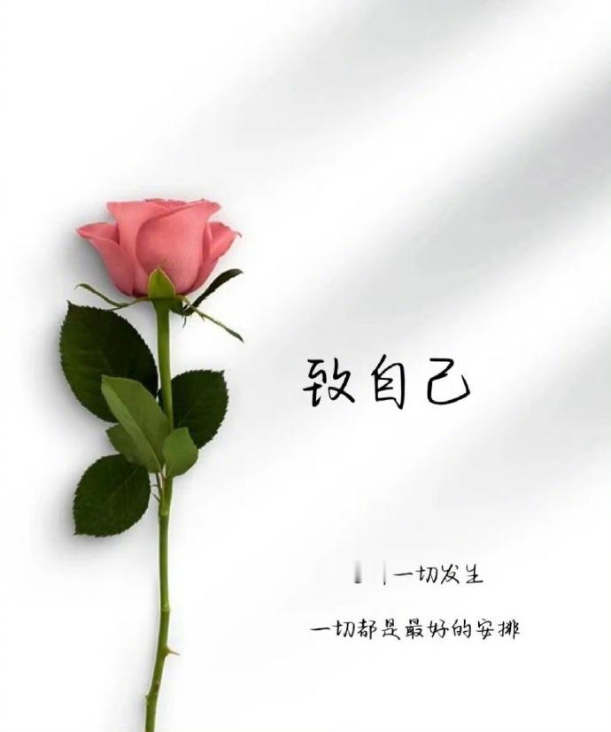 做一个人间清醒的中年少女 ​​​