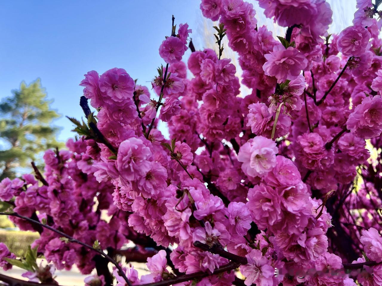 国家明令禁止学校老师有偿补课。可是，有很多老师总是有禁不止，胆大妄为，偷偷补课。