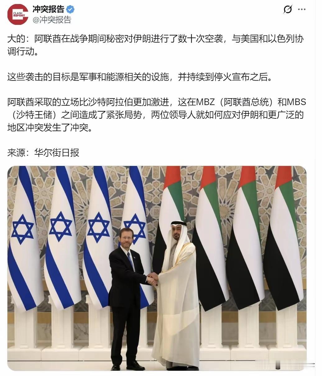 阿联酋不是一个明智的国家，感觉想菲律宾，总想依靠域外国家来对抗比自己强大的国家，