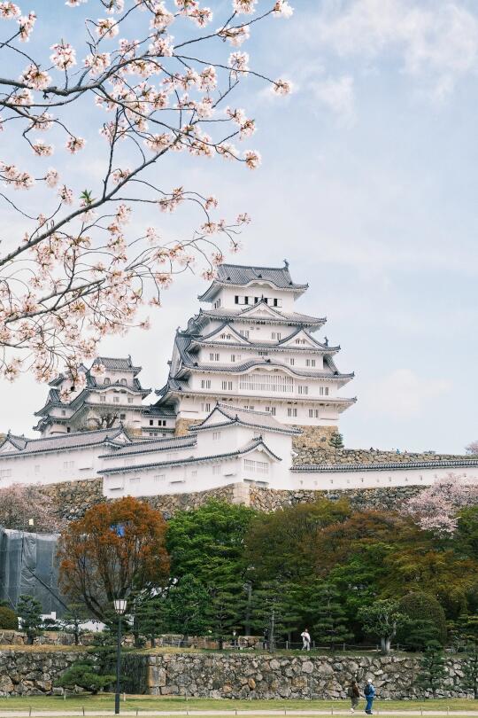 日本摄影｜姬路城的樱花