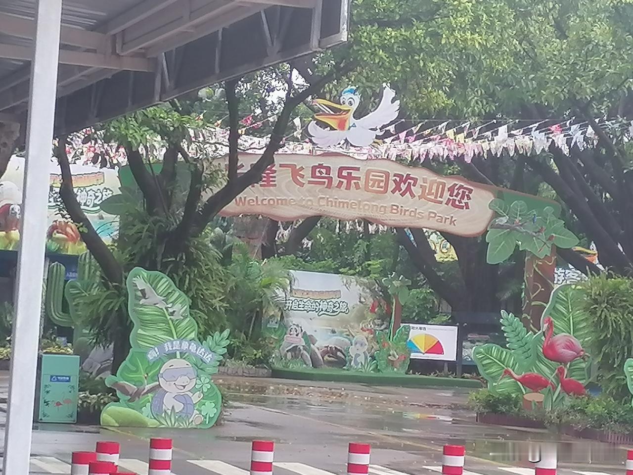 动物欣赏