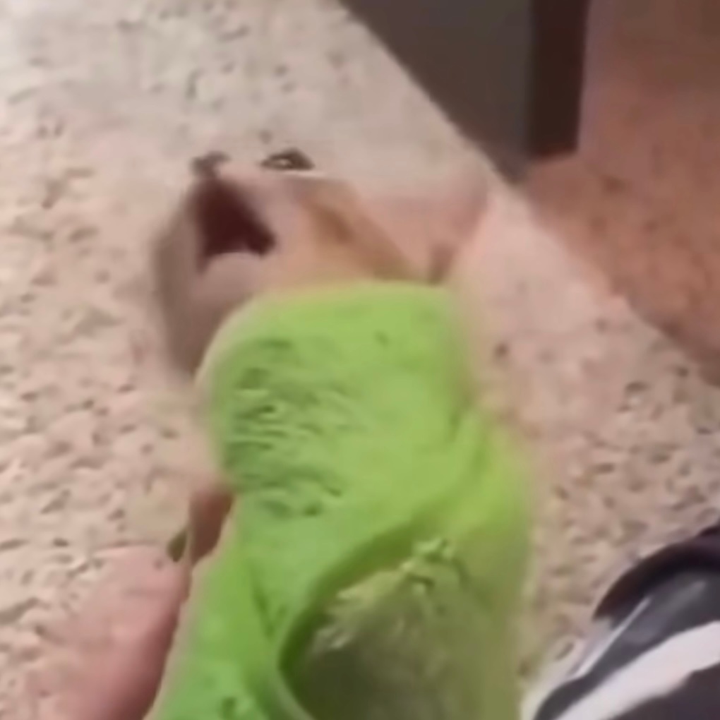 🆘 