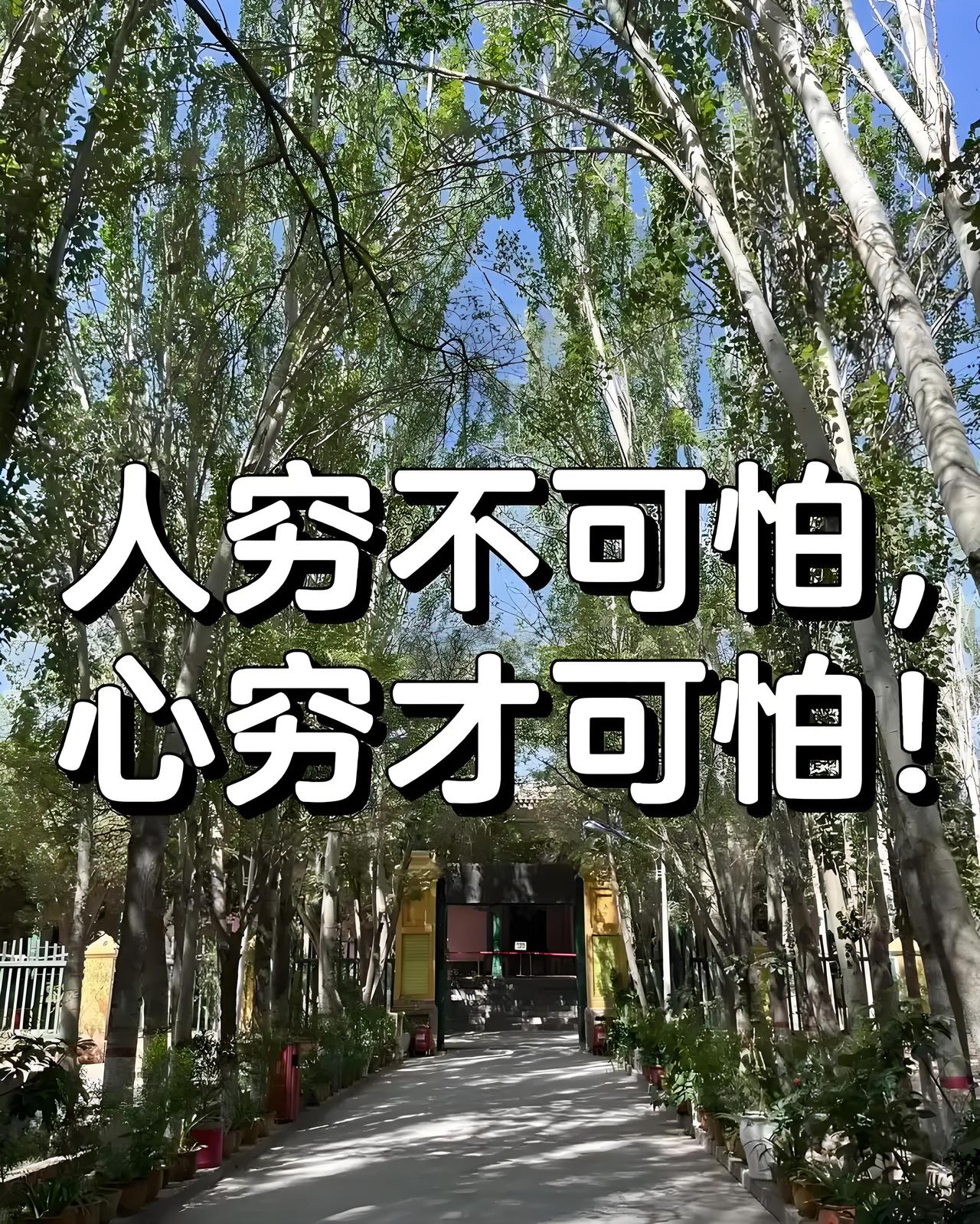 说得好，人穷志不穷，！[赞][赞][赞]