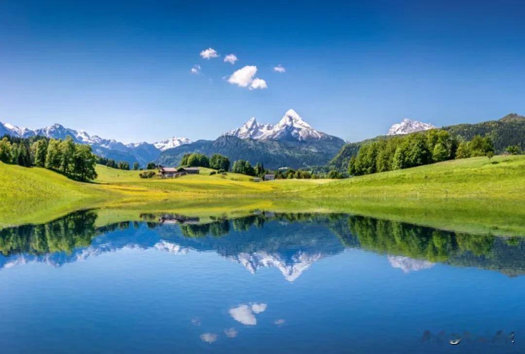 醍醐灌顶的一句话：“人到中年你才会明白，免费教人就等于结仇。你越主动，别人越恨你