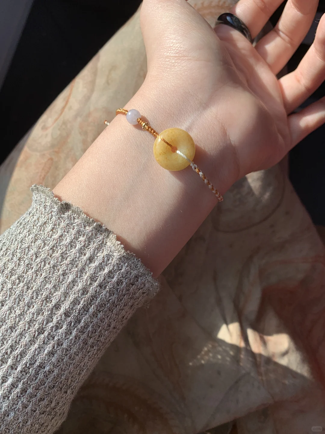 秋 🍂  | 未觉三夏尽,时序已新秋
