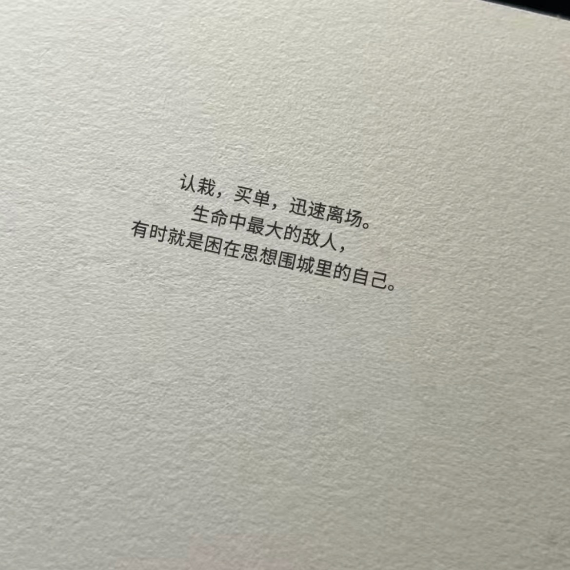 “我的年度防内耗金句” 