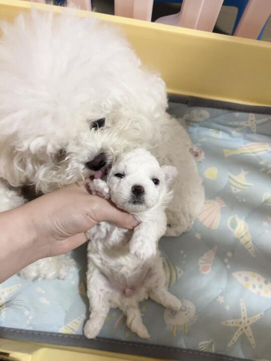 稀罕的不得了，有妈的孩子像个宝