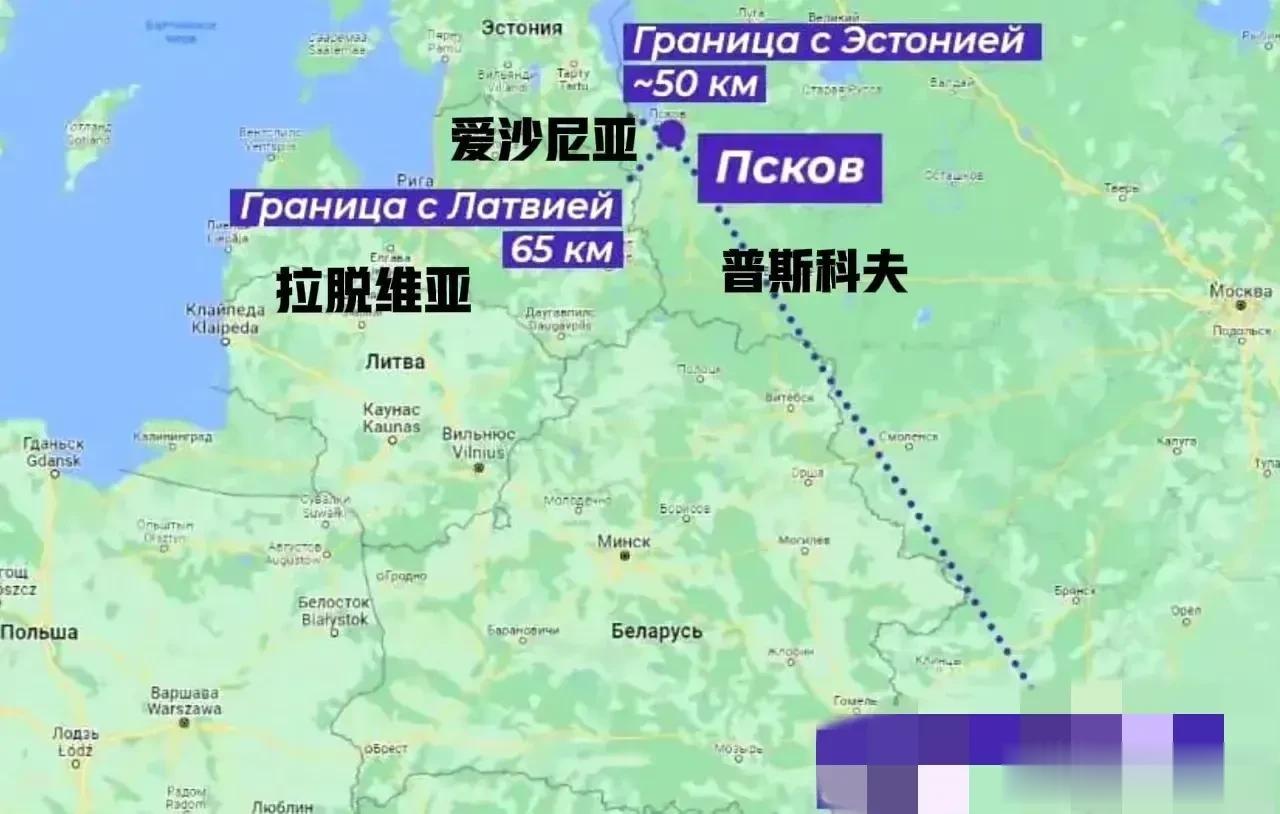 俄罗斯专家：袭击俄罗斯普斯科夫机场的无人机是北约在试探乌克兰是否可以利用北约成员