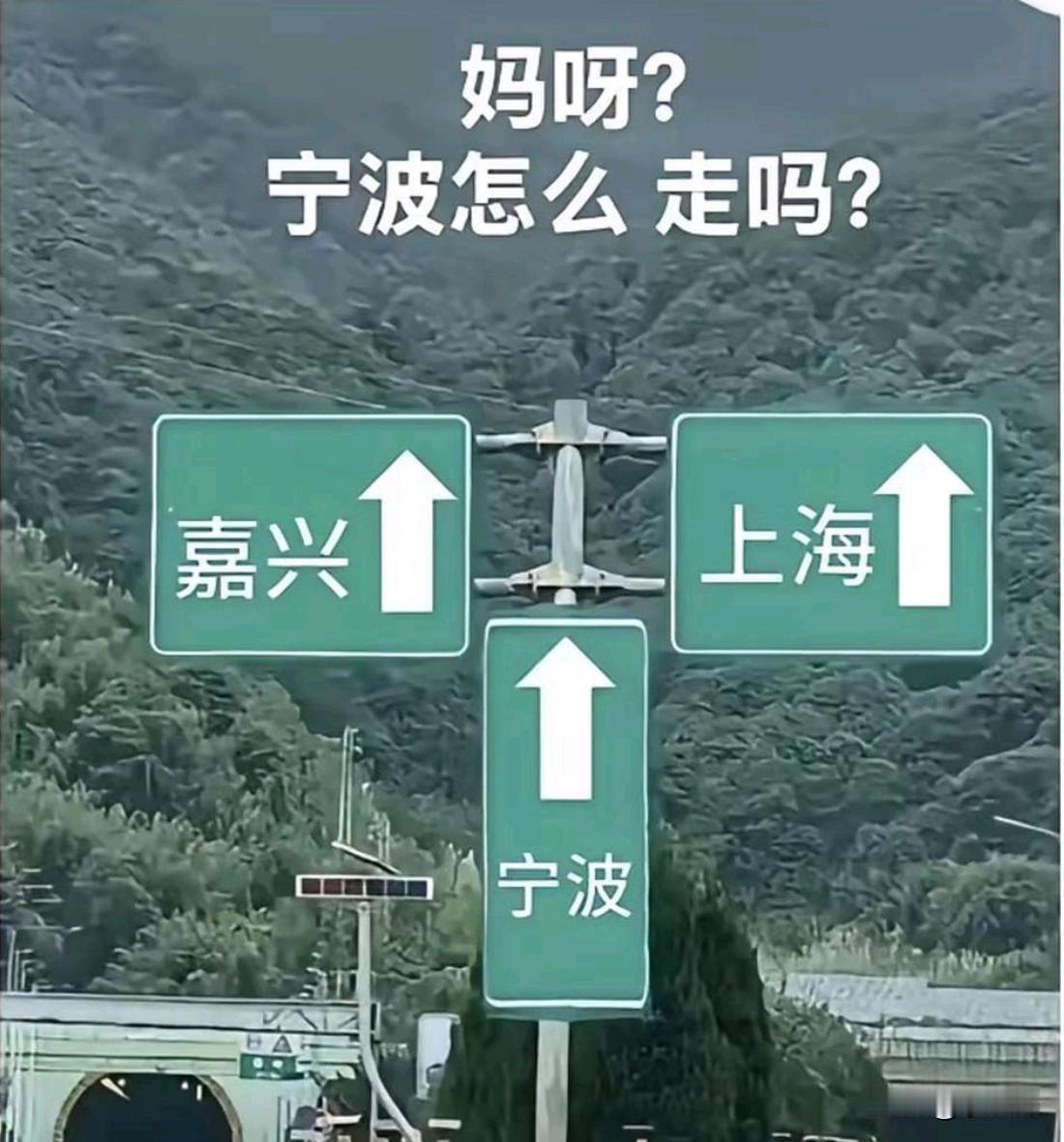 宁波的路在哪？
