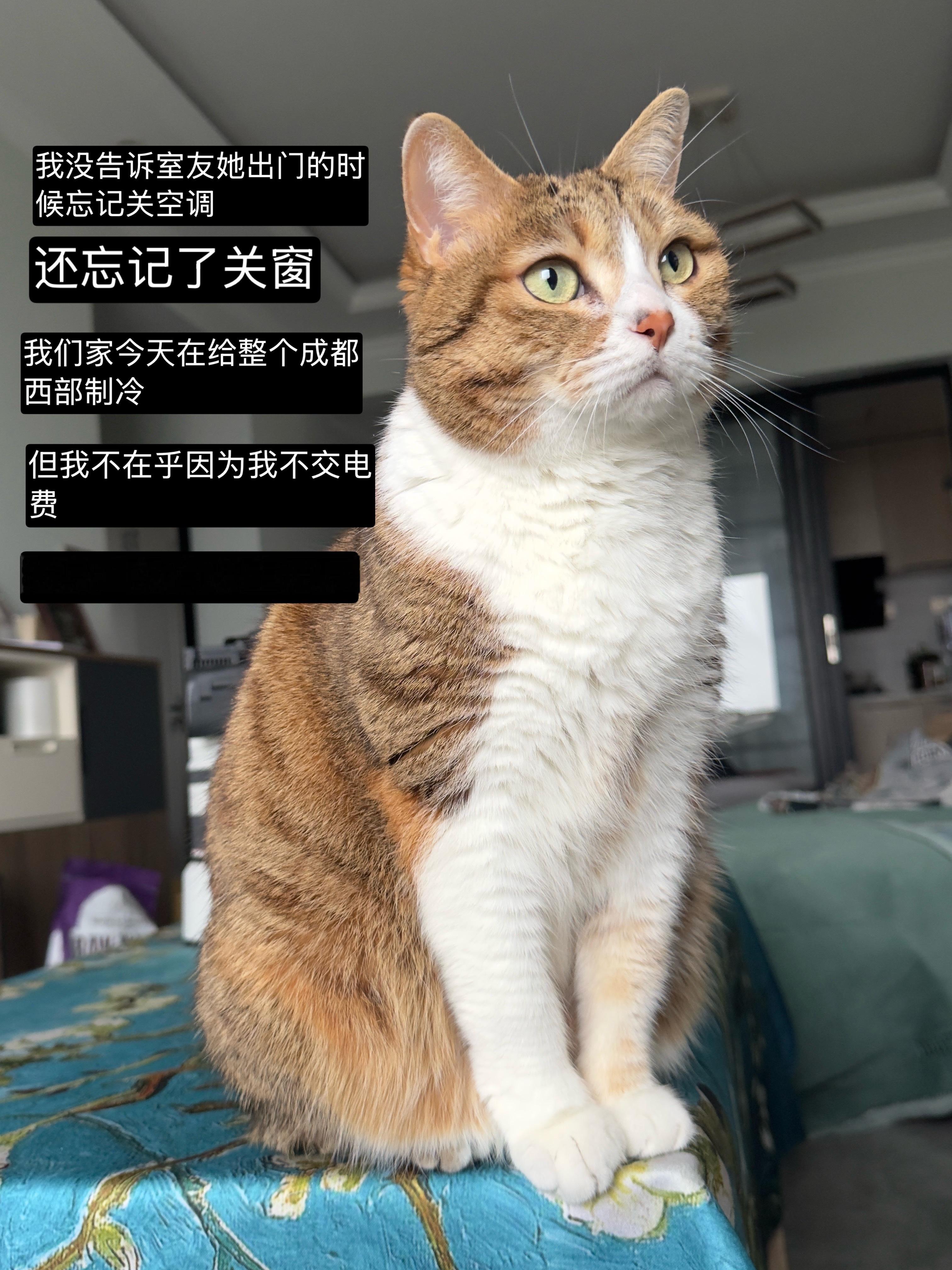 我的人类朋友。你们光秃秃的。 