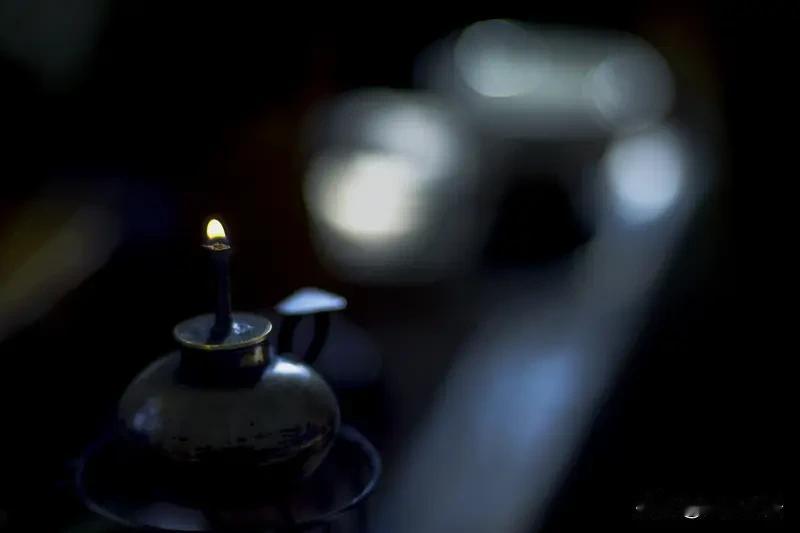 在雪野围城的彻夜
我匍匐向凡尘里的青灯
叩头时，初绽的一树春蕾
怒放在垂老的枯木