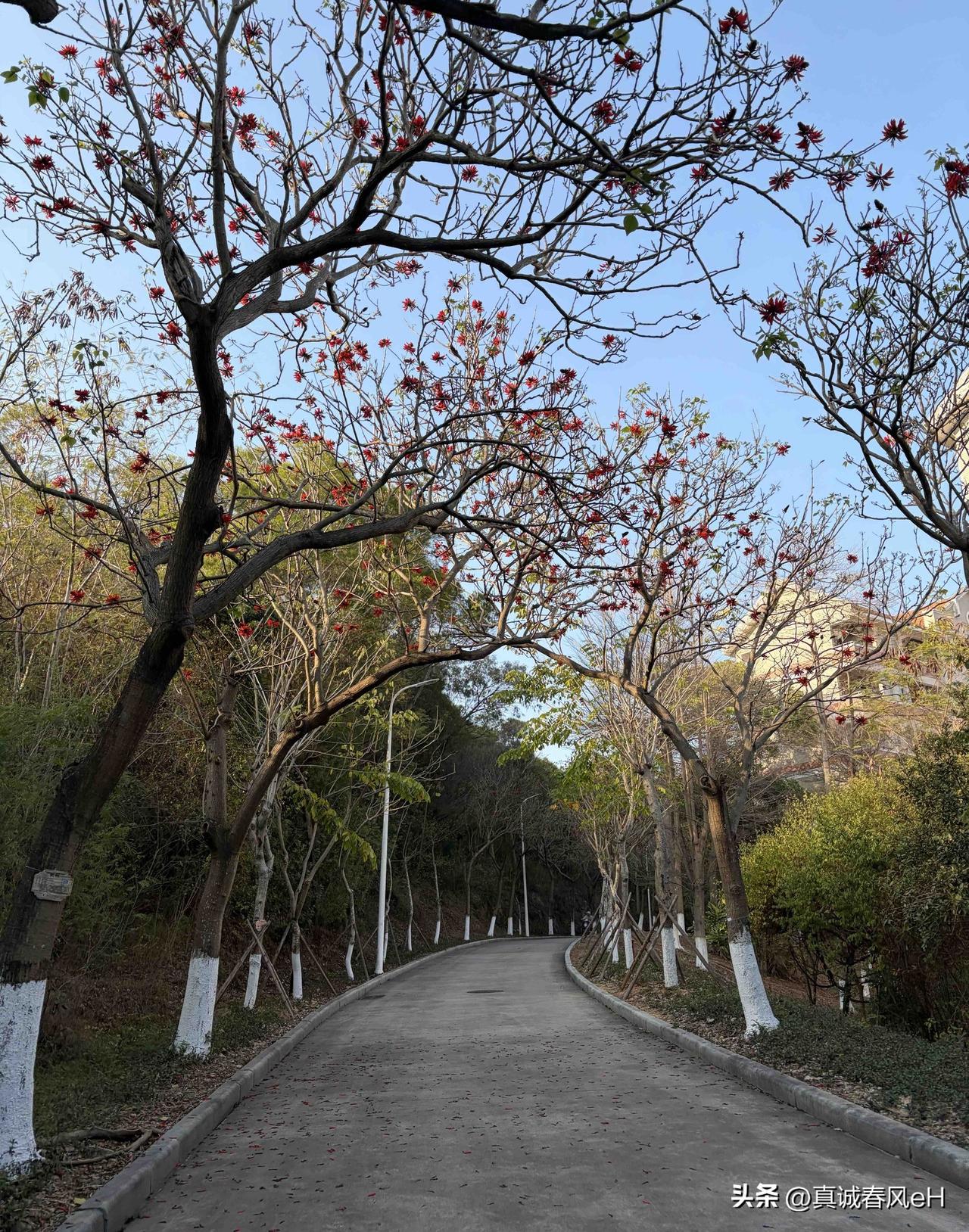 老人总怕被嫌弃，其实问题不在孩子身上。
是我爸去年摔了一跤后，开始把退休金全给哥