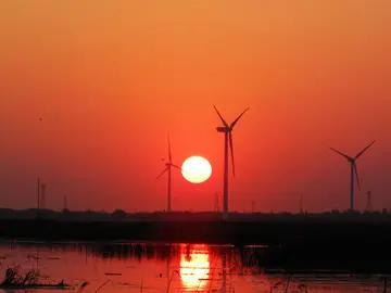 我可以百分之百的肯定，今年的春晚不会有《东方红》，因为春节讲究的是和谐快乐，出现