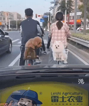 讨厌，坏人家好事！[捂脸]