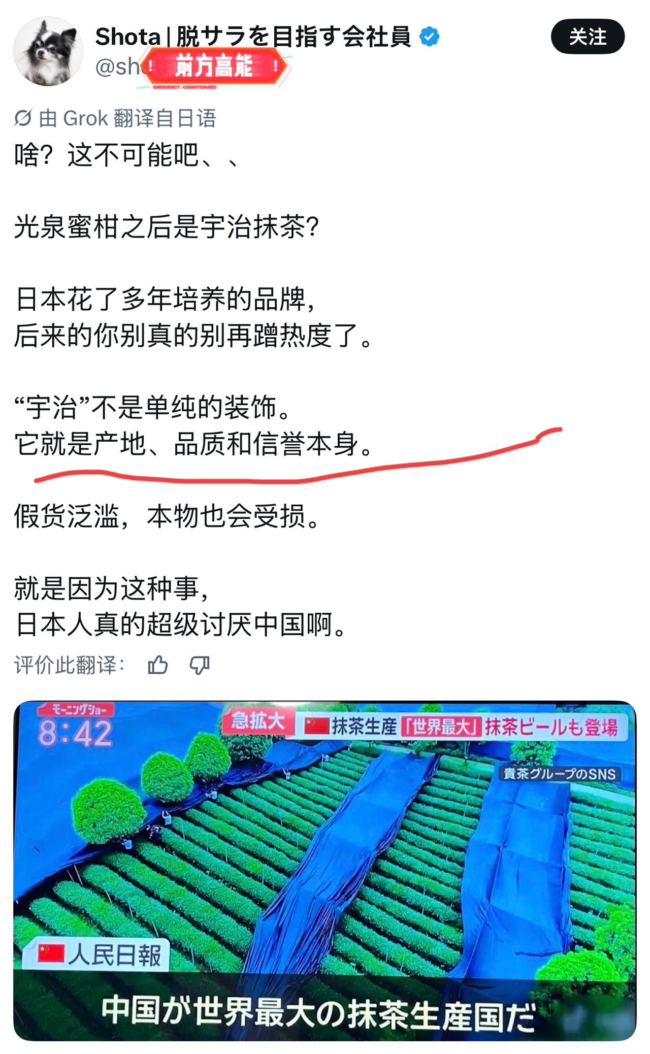 日本网友难以接受：原本以为抹茶是日本独有的国粹，竟然起源在中国？

在日本，宇治
