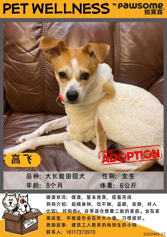 ❤领养成全爱❤