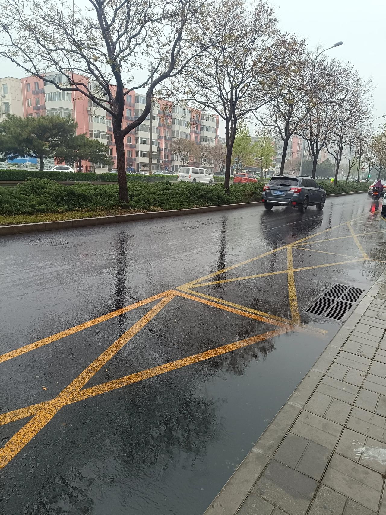 下雨了，真的太好了，这时候下雨对空气真的是太好了，不然就是各种毛毛啊，下雨还能净