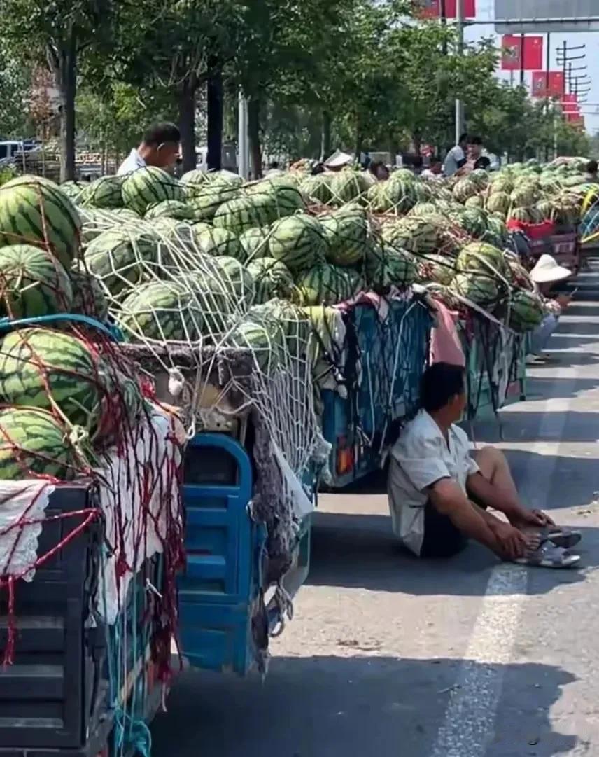 河南西瓜滞销🔥🔥一车8元，网友托住瓜农全部希望‼️
今年河南的西瓜大丰收，但