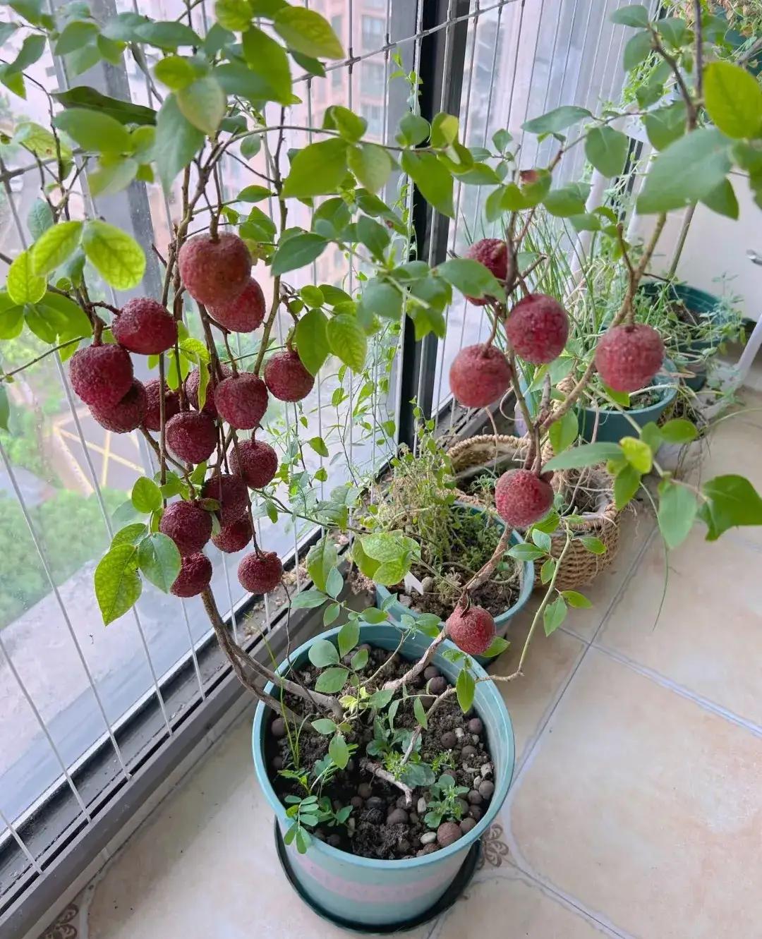 交了很多朋友，花了无数的钱，事实证明了独处是最幸福的事[比心]。好久没联系你的，