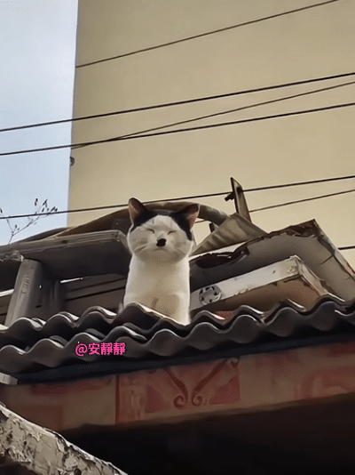 哎呀，灰头土脸的