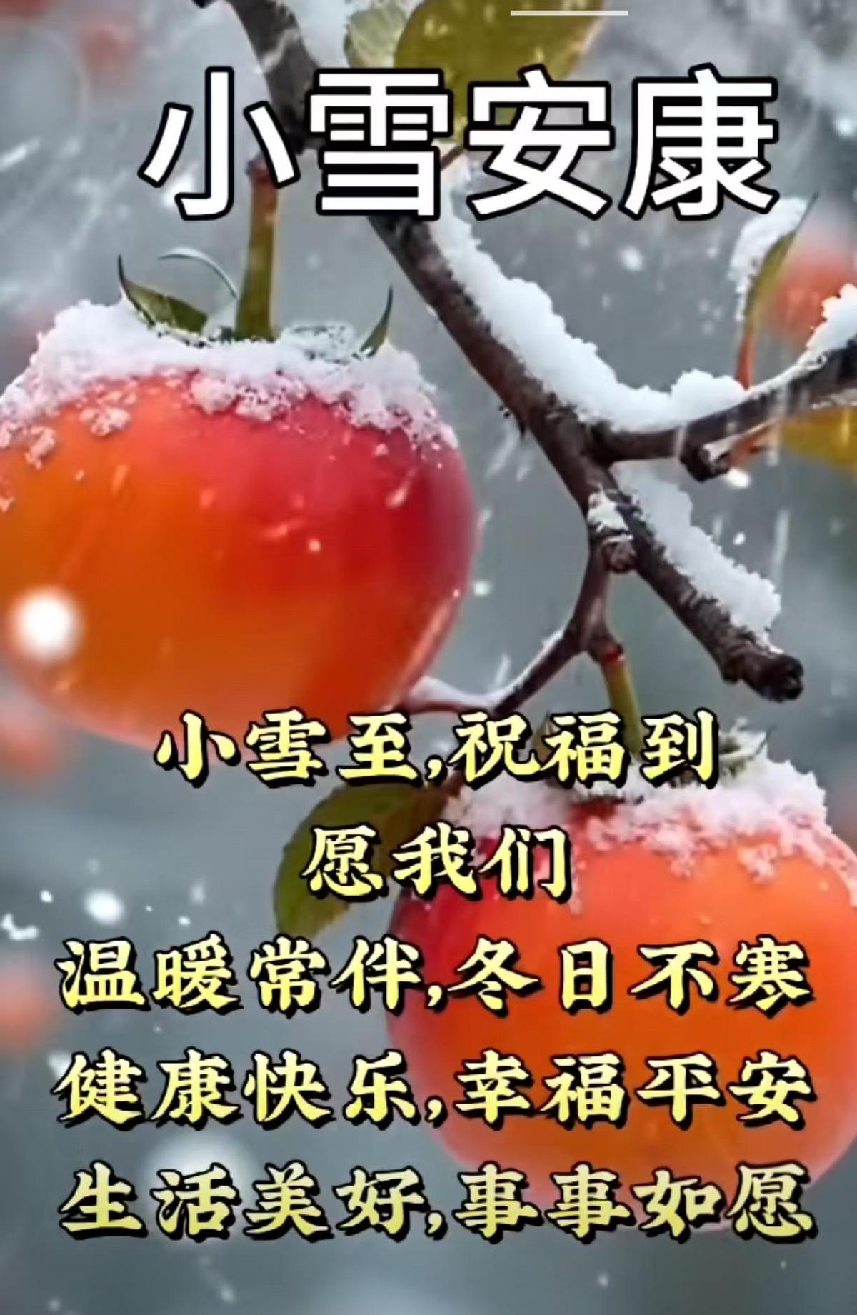 小雪到了，天冷了，别忘了添衣。
有人忙着囤棉衣，有人忙着发祝福。
这诗里藏着的，