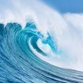 浪漫月色