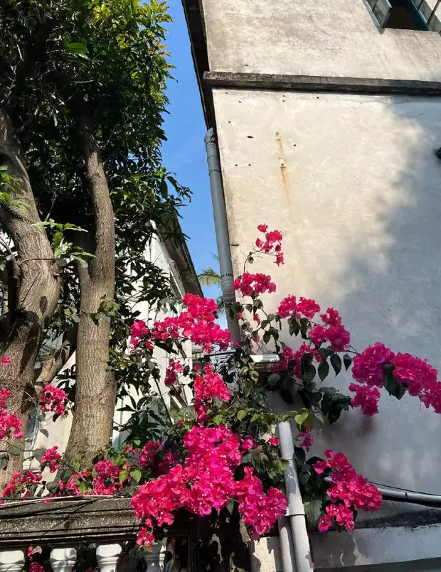 姚晨晒出一组在厦门赶海的照片，女儿小茉莉背影已亭亭玉立。 ​​​