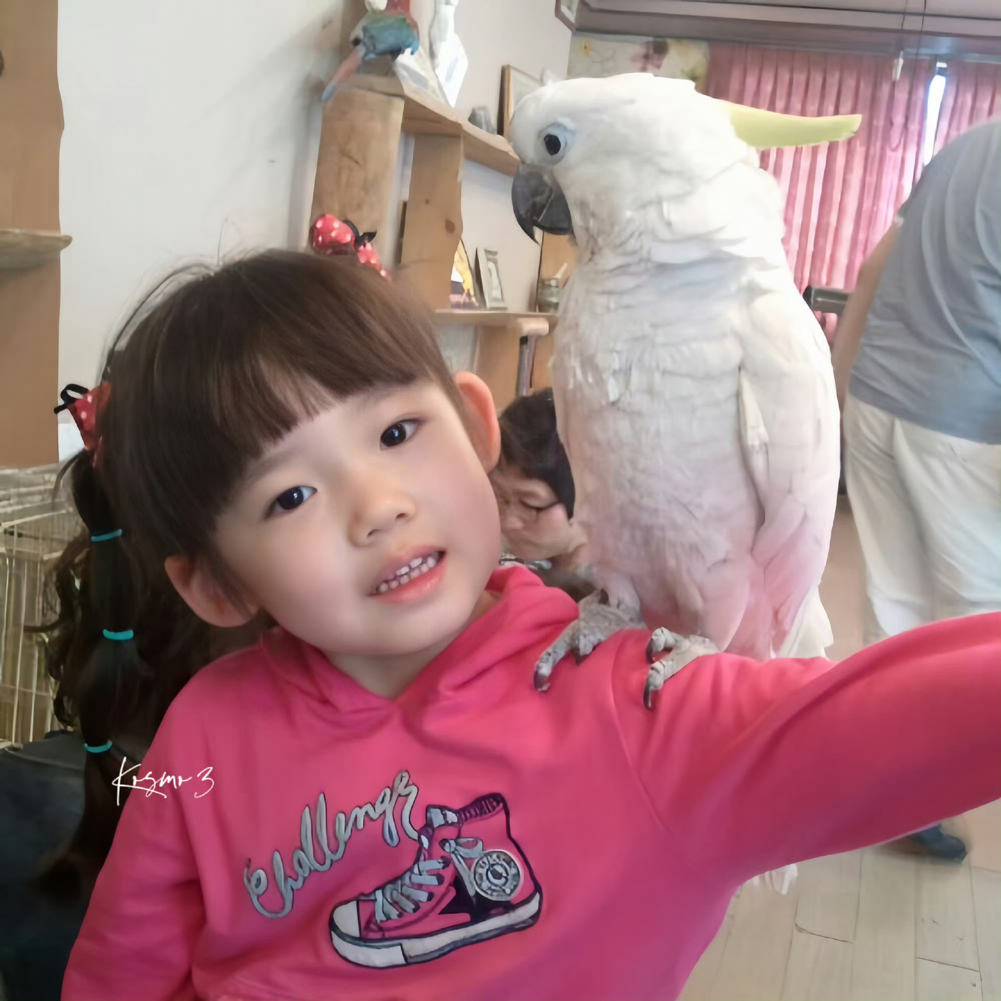 带着我的孩子们来过六一了 叔叔阿姨们来给我孩子们发点包包 