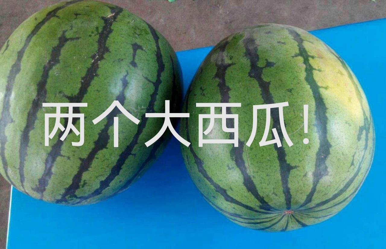 我真无语死啦