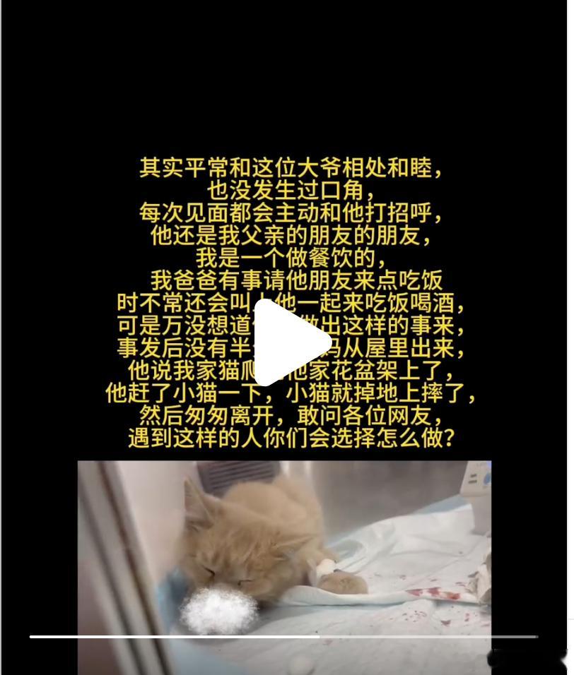 散养动物猫，别人正在打扫门口卫生，猫跑别人门口花盆那了，别人当然生气了，就用扫把