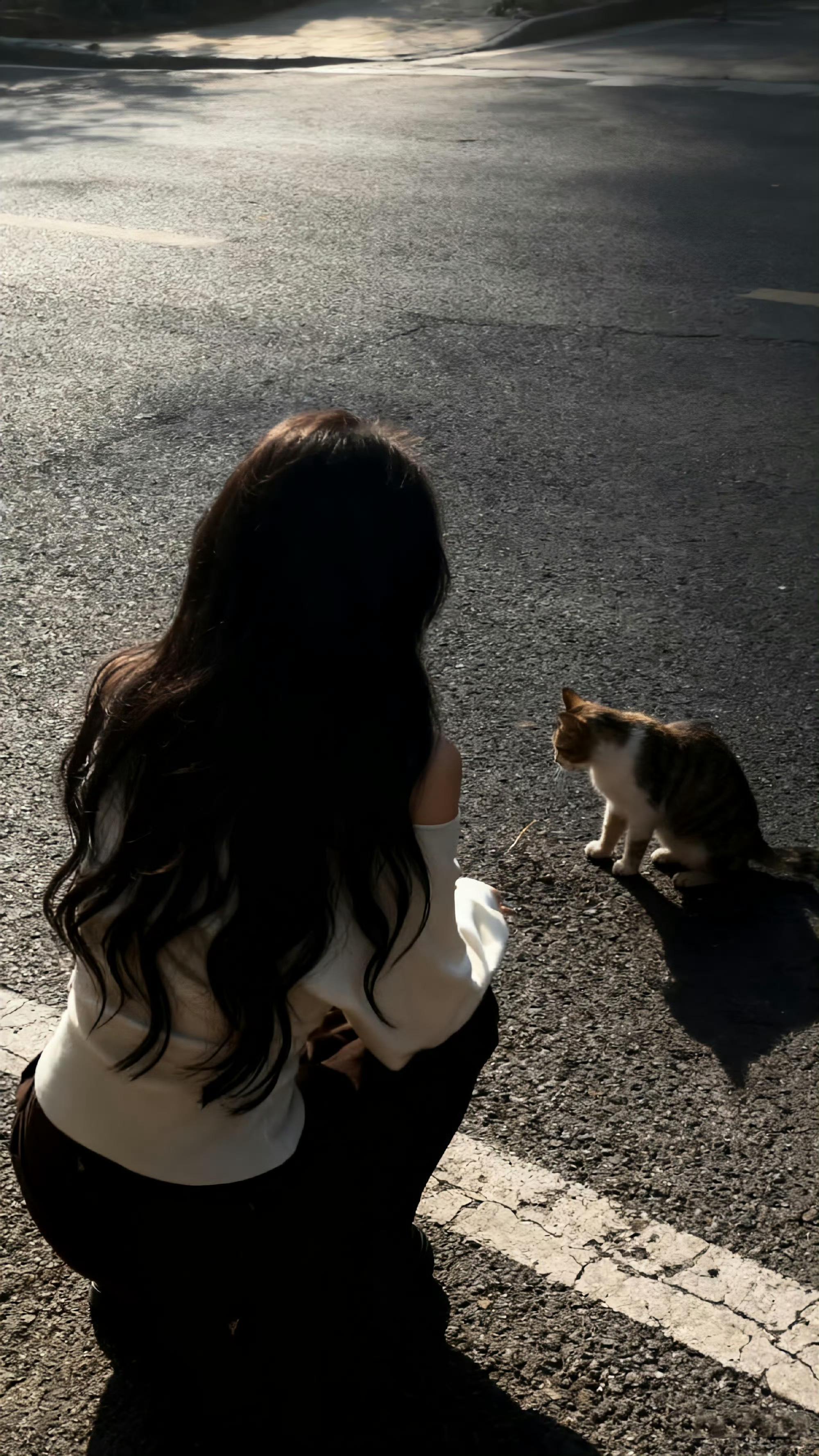 道理我都懂但是我不讲道理素质不详遇强则强 